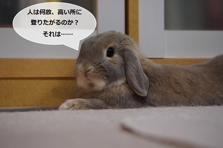 え1