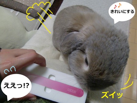 ネイル4
