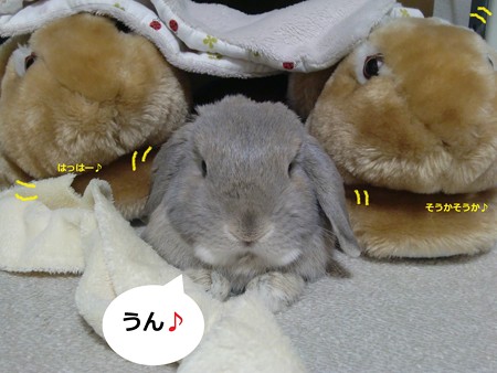 兄弟3