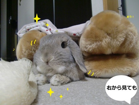 兄弟4