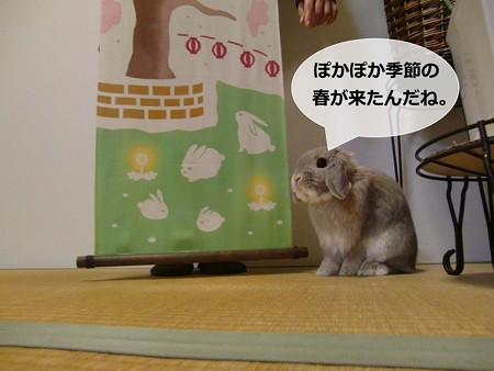 春