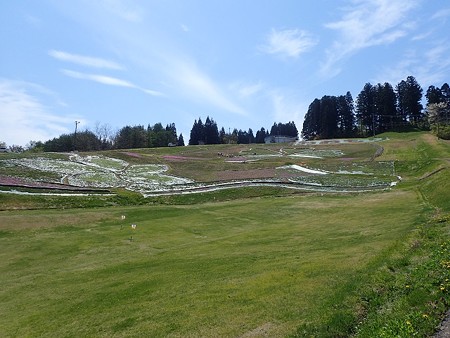 29 GW 秋田 大森公園 2