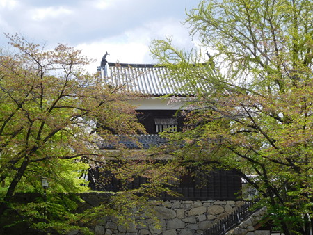 DSCN1321
