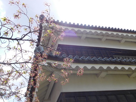 DSCN1324