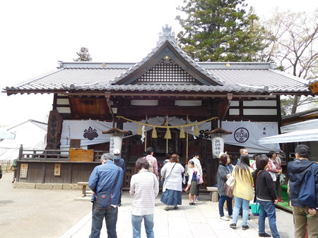 DSCN1342
