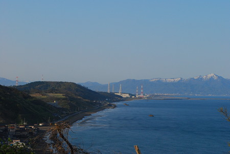 DSC_0454