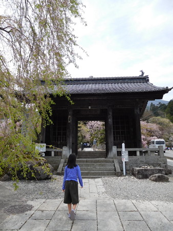 DSCN1408