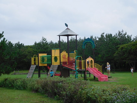 DSCN2282