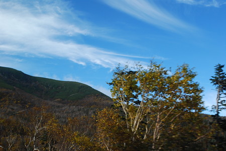 DSC_0608