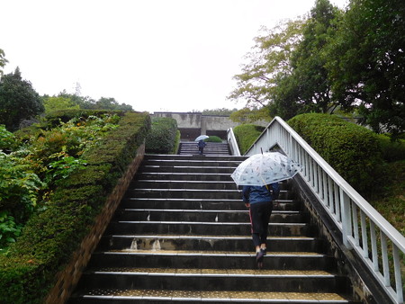 DSCN2670