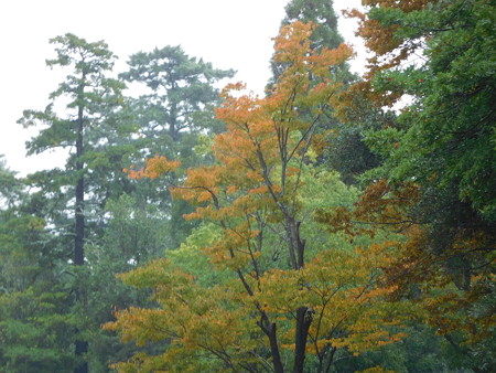 DSCN2768