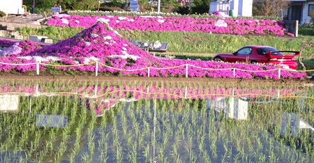 DSCF3864