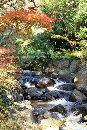 紅葉