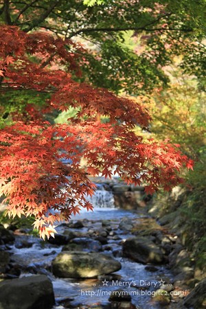 紅葉と滝