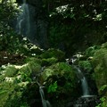 273 いしくぼの滝  小木津山自然公園