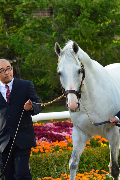 Photos: DSC_6775
