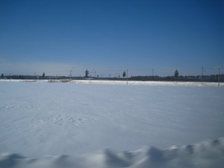 雪原