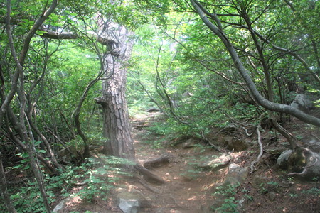 1041togz124 (59)