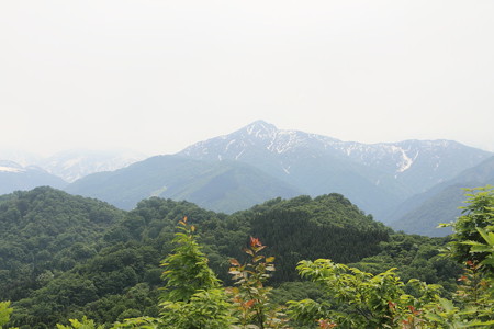 1043togz124 (63)