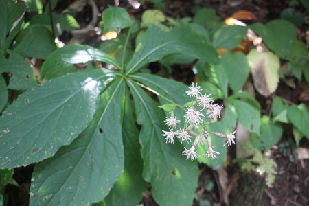1048si126