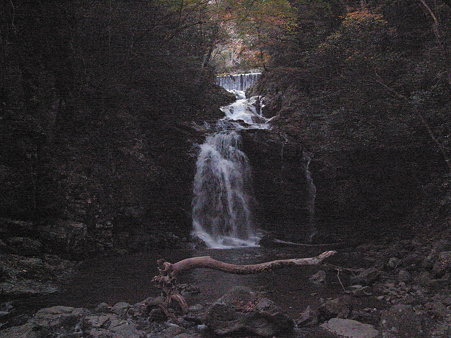 R0010662