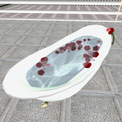 Snapshot_271
