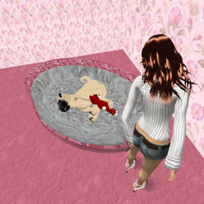 Snapshot_315 Snapshot_315