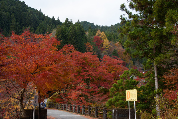 白井平橋