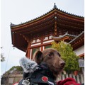 Photos: 2014121506