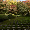 Photos: 三玲の庭と紅葉