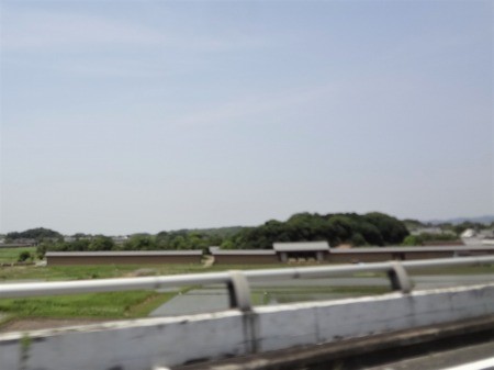 DSC03991