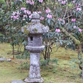Photos: 高山寺・石水院（庭園）2
