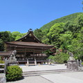 Photos: 出雲大神宮・拝殿1