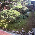 Photos: 万年青の縁庭園（左手廊下より）2
