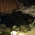 Photos: 雪見風呂
