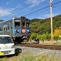 Photos: 秩父鉄道5000系とおじさんの軽トラ