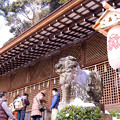 Photos: 宇治上神社 本殿