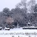 所沢市の雪景色