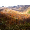山の紅葉風景