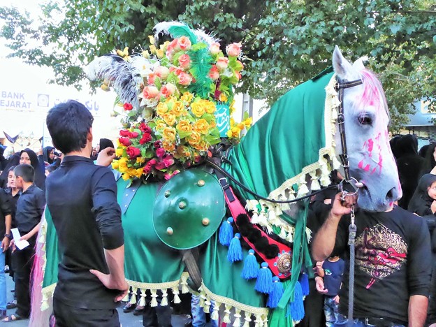 イランの緑馬~ヤズド Decorated horse,Iran