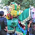 Photos: イランの緑馬~ヤズド Decorated horse,Iran