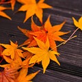 落ち葉