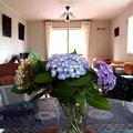 Photos: 食卓テーブルに紫陽花