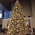 Photos: 2014メリークリスマス（東京・丸の内オアゾ）