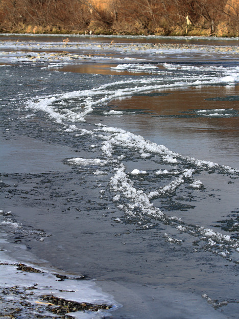 凍り始める川
