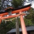 Photos: CIMG0517