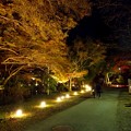 Photos: 八瀬もみじの小径（２１）