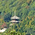 Photos: 秋の西國寺三重塔＠浄土寺山山頂からの眺望