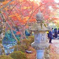 Photos: 佛通寺川の紅葉＠総門前の秋