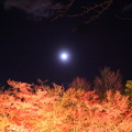 Photos: なばなの里から　紅葉と満月